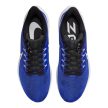  Nike Air Zoom Pegasus 39 Racer Blue
