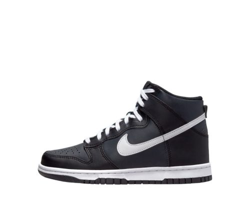 Nike Dunk Hi (GS)