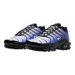 Nike Air Max Plus Black Sapphire