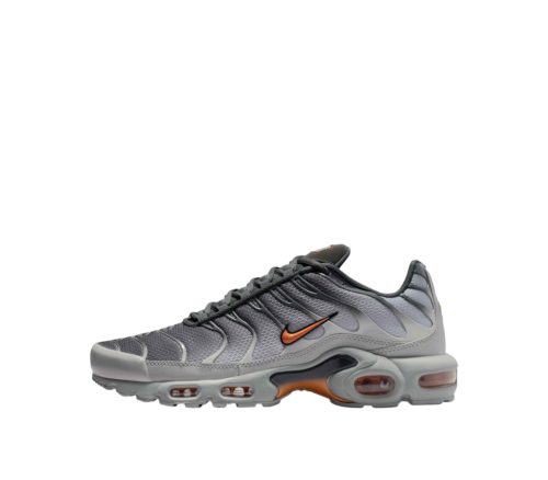 Nike Air Max Plus Light Smoke Grey Hot Curry