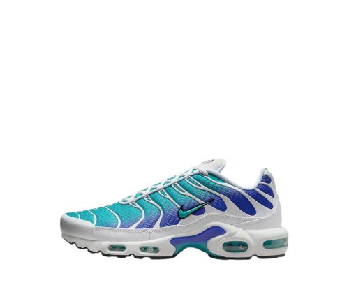 Nike Air Max Plus "Aqua"