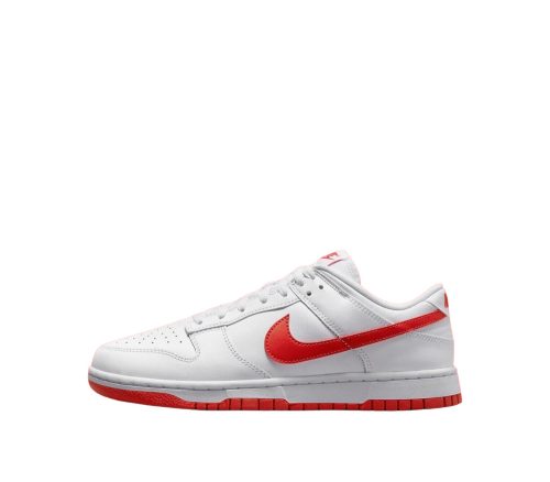 Nike Dunk Low Retro