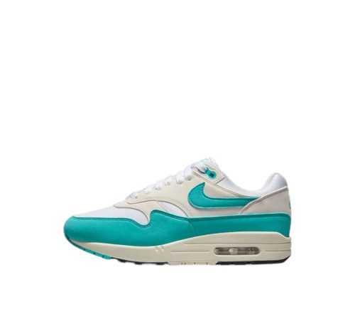 Nike Air Max 1 "Dusty Cactus" Wmns