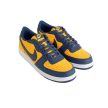 NIKE TERMINATOR LOW 06 "UNIVERSITY GOLD AND NAVY" 