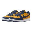  Nike Terminator Low Michigan