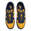  Nike Terminator Low Michigan