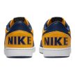  Nike Terminator Low Michigan