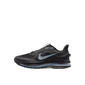Nike Pegasus Premium Black Metallic Silver