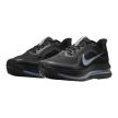 Nike Pegasus Premium Black Metallic Silver