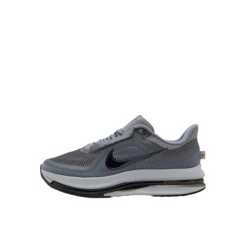 Nike Pegasus Premium Cool Grey Wolf Grey