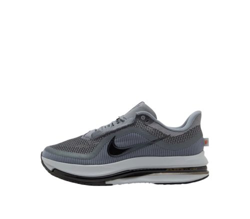 Nike Pegasus Premium Cool Grey Wolf Grey