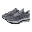 Nike Pegasus Premium Cool Grey Wolf Grey