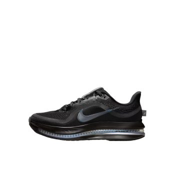 Nike Pegasus Premium Black Metallic Silver