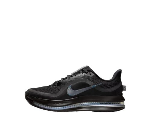 Nike Pegasus Premium Black Metallic Silver
