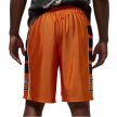 Jordan Brooklyn Cat Scratch Starfish Shorts
