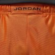Jordan Brooklyn Cat Scratch Starfish Shorts