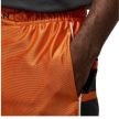 Jordan Brooklyn Cat Scratch Starfish Shorts