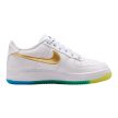 Nike Air Force 1 FC World Cup (GS)