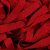 Lanvin Lace Red