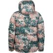 THE NORTH FACE PRINTED SIERRA DOWN PARKA 